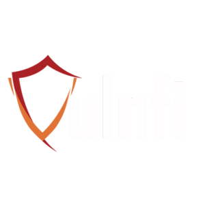 Vulnfi Logo